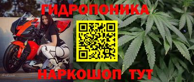 стаф Нарткала