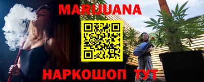 индика Новокубанск