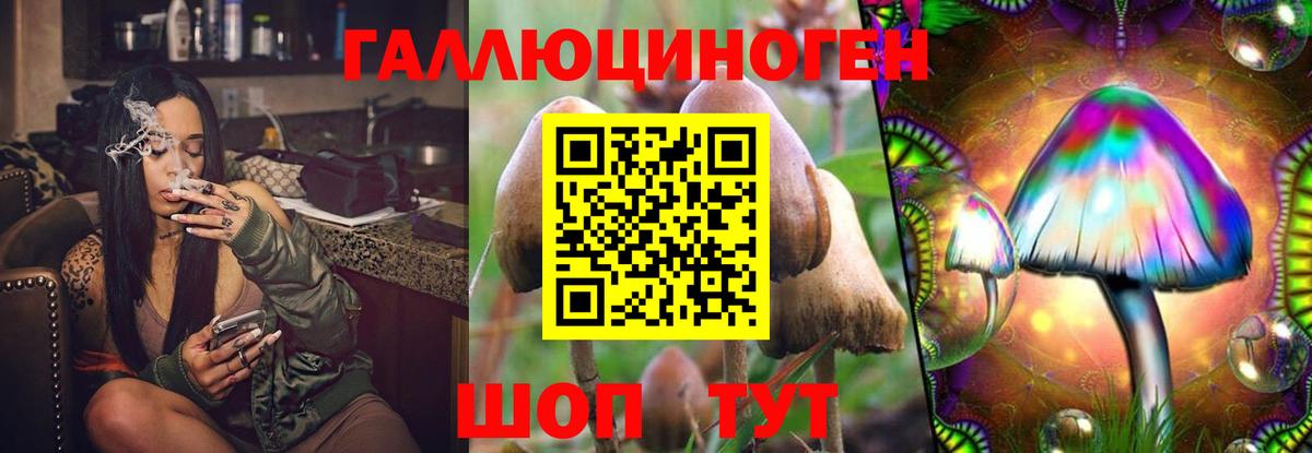 Псилоцибиновые грибы Psilocybine cubensis Сергиев Посад